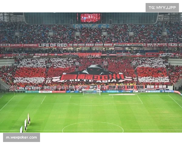 成都蓉城主场优势明显 凤凰山球场场均上座超四万人 成都蓉城主场优势明显 凤凰山球场场均上座超四万人